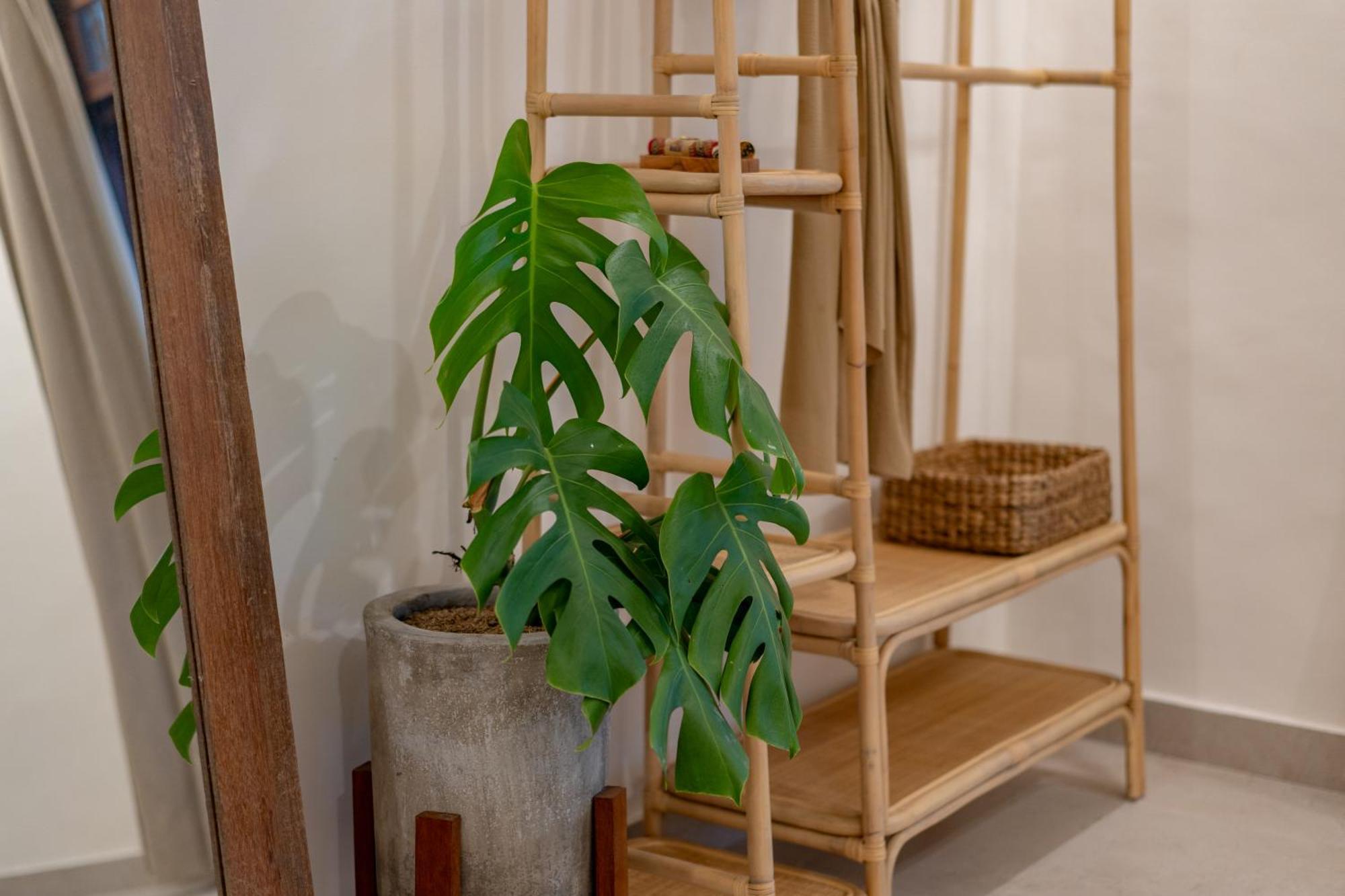 Cozy Up Villa Sanur Esterno foto